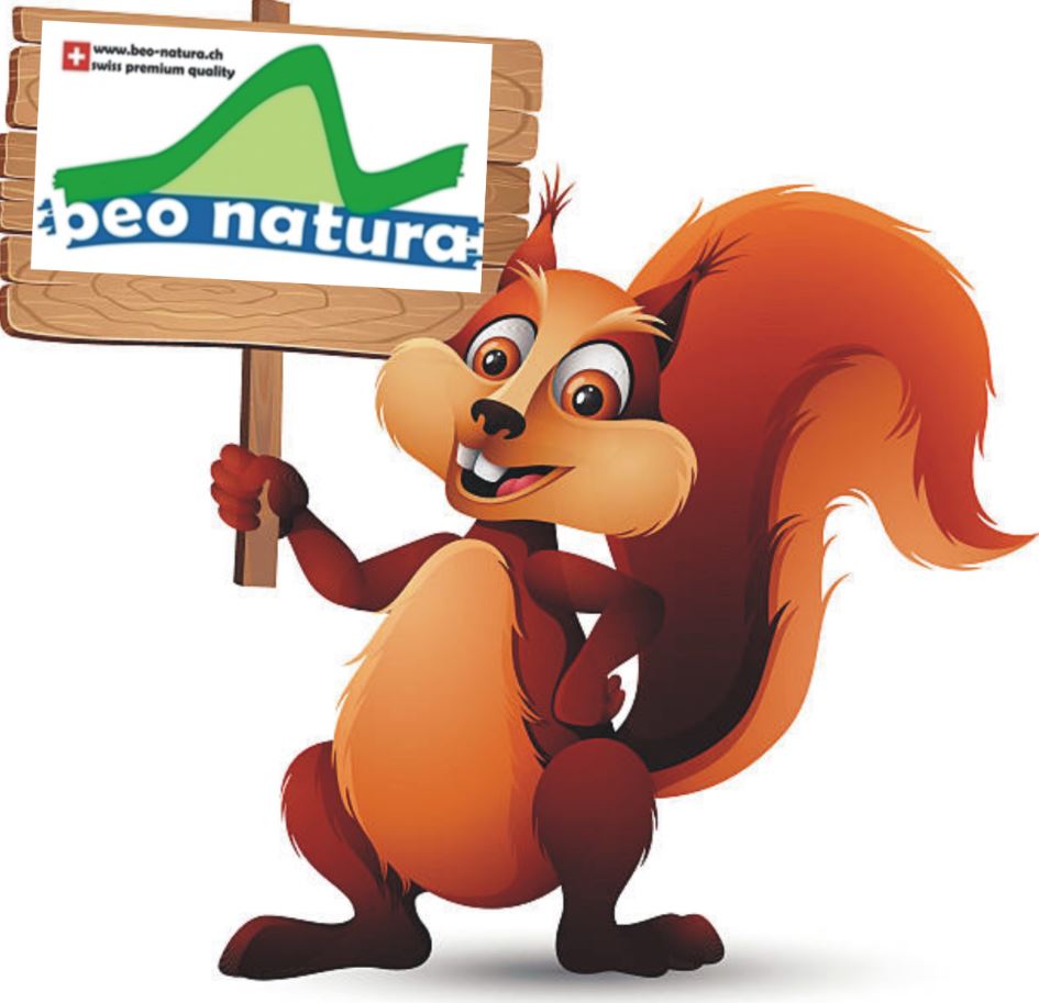 Catering, Feste und Events